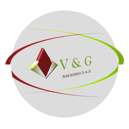 VyGSoft Logo